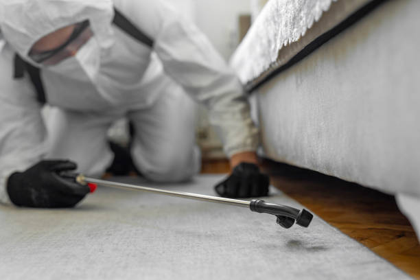 Professional Cockroach Control technician working in Delshire, OH