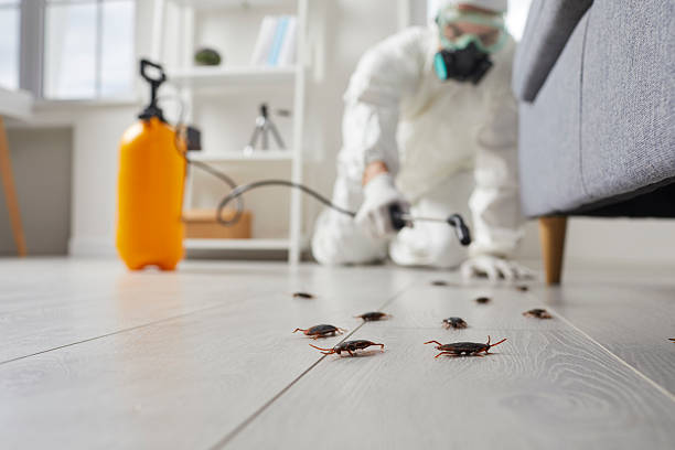 Affordable Cockroach Control solutions in Delshire, OH