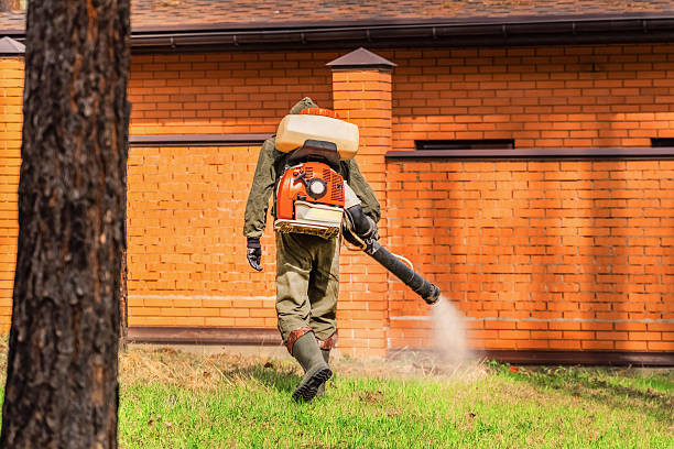 Top rated local Cockroach Control specialists in Delshire, OH
